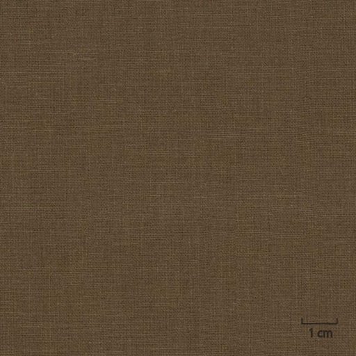 [318811] BROWN, PLAIN (DR# 25111)