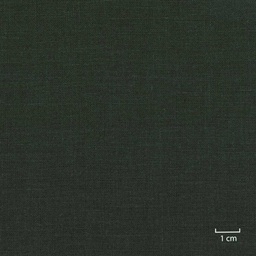 [318813] GREEN, PLAIN (DR# 25113)