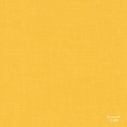 [318814] YELLOW, PLAIN (DR# 25114)