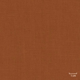 [318815] ORANGE, PLAIN (DR# 25115)