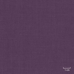 [318816] PURPLE, PLAIN (DR# 25116)