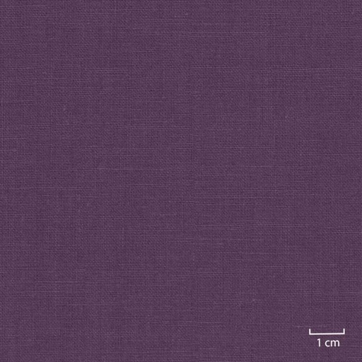 [318816] PURPLE, PLAIN (DR# 25116)
