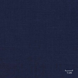 [318819] BLUE, PLAIN (DR# 25119)