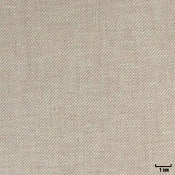 [318822] TAN, PLAIN (DR# 25122)