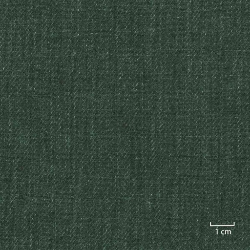 [318826] GREEN, PLAIN (DR# 25126)