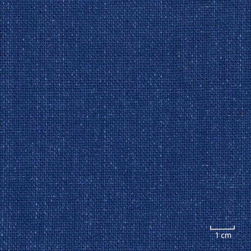 [318838] BLUE, MINI DESIGN (DR# 25138)