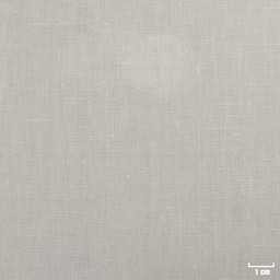 [318840] WHITE, PLAIN (DR# 25140)
