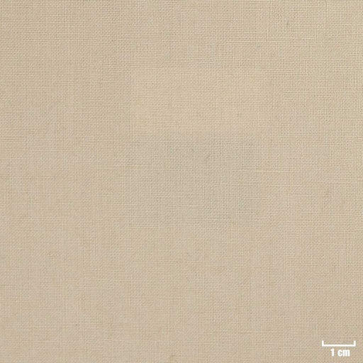 [318841] TAN, PLAIN (DR# 25141)