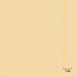 [318843] TAN, PLAIN (DR# 25143)