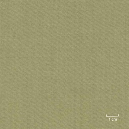 [318844] LIGHT GREEN, PLAIN (DR# 25144)
