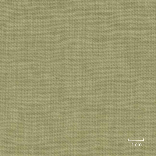 [318844] LIGHT GREEN, PLAIN (DR# 25144)