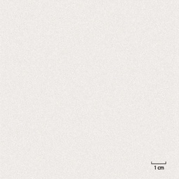 [451301] OFF_WHITE, PLAIN