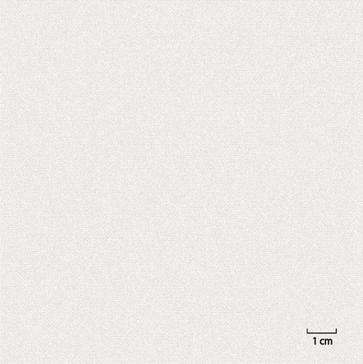 [451301] OFF_WHITE, PLAIN