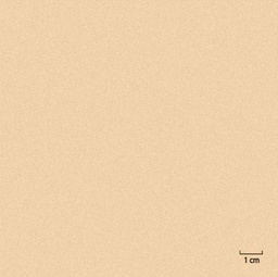 [451302] TAN, PLAIN