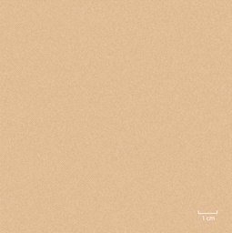 [451303] KHAKI, PLAIN