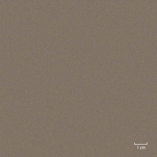 [451304] OLIVE, PLAIN