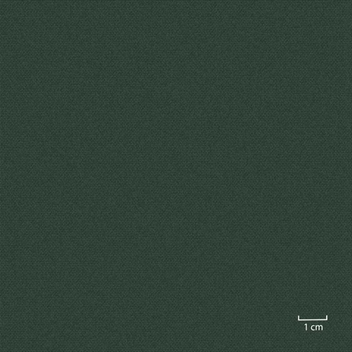 [451306] GREEN, PLAIN