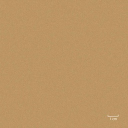 [451307] KHAKI, PLAIN