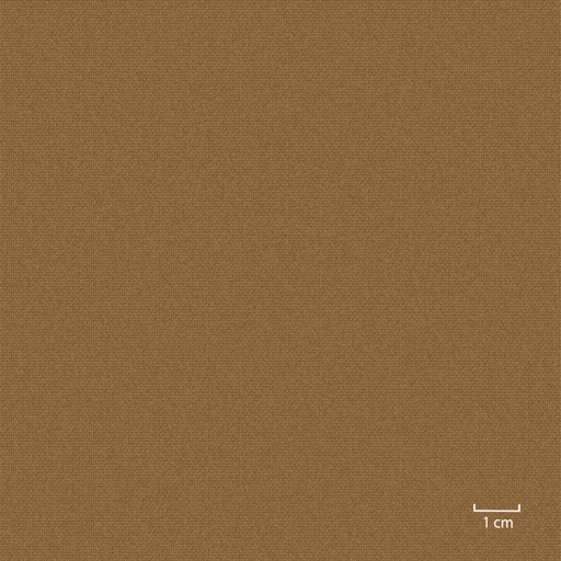 [451309] LIGHT BROWN, PLAIN