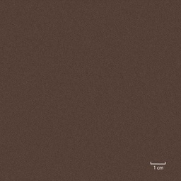 [451310] BROWN, PLAIN