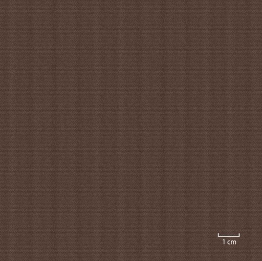 [451310] BROWN, PLAIN