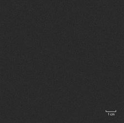 [451312] BLACK, PLAIN