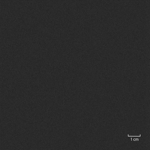 [451312] BLACK, PLAIN