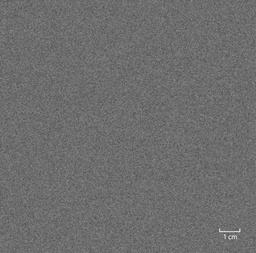 [451314] GREY, PLAIN
