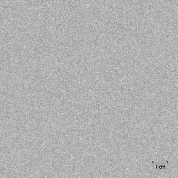 [451315] LIGHT GREY, PLAIN
