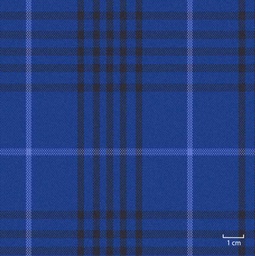 [451322] BLUE, BIG CHECKS