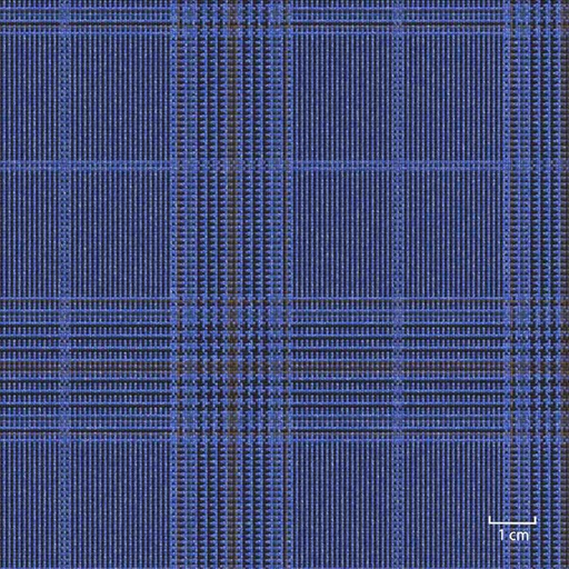 [451324] BLUE, BLUE_BROWN CHECKS