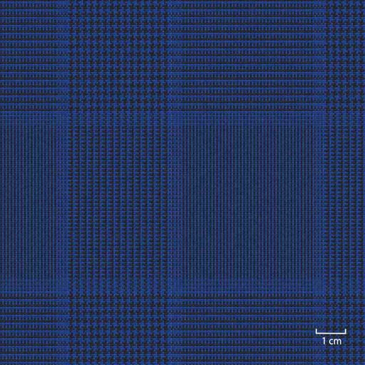 [451327] BLUE, CHECKS