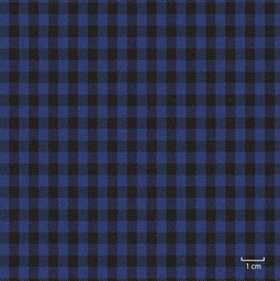[451332] BLUE, SMALL CHECKS