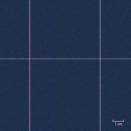 [451339] BLUE, BIG CHECKS