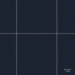 [451340] DARK BLUE, BIG CHECKS