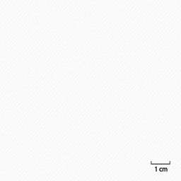 [451410] OFF_WHITE, PLAIN