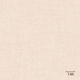 [451411] BEIGE, PLAIN