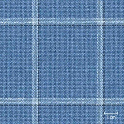 [451423] BLUE, BIG CHECKS