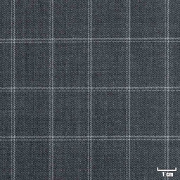 [213303] GREY, WHITE CHECKS