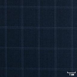 [213304] BLUE, CHECKS
