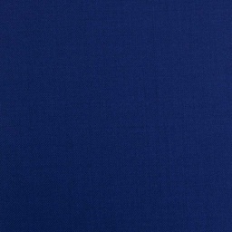 [213310] BLUE, PLAIN