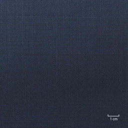 [227311] NAVY, CHECKS