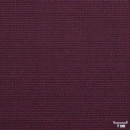 [226004] PURPLE, HOPSACK
