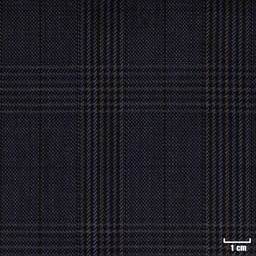 [226029] BLUE, CHECKS