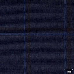 [226033] BLUE, BLUE/BROWN CHECKS