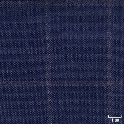 [226035] BLUE, CHECKS