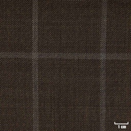 [226036] BROWN, CHECKS
