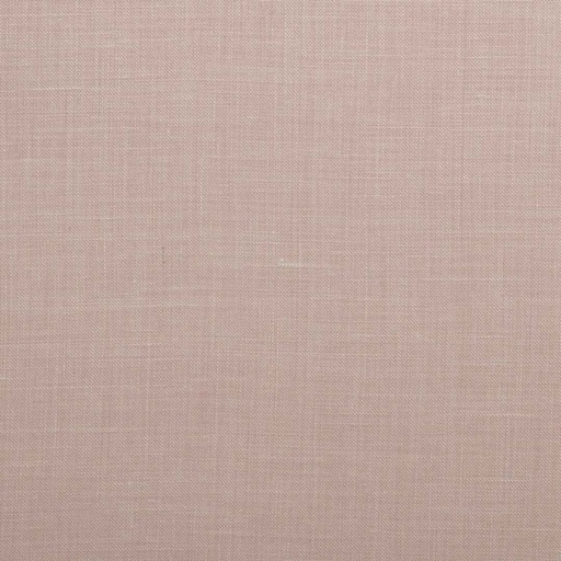 [353105] PINK, PLAIN