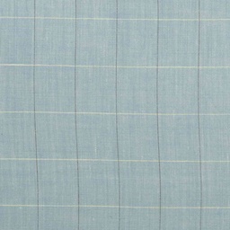 [353113] BLUE, CHECKS