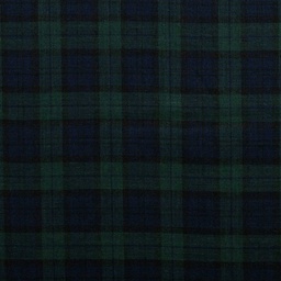 [353117] BLUE, GREEN CHECKS